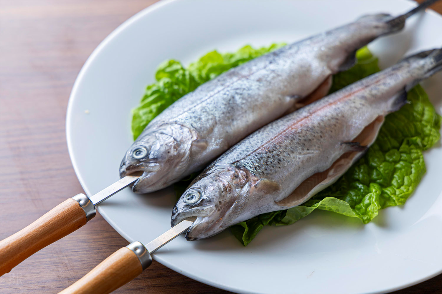 Yamanashi Glamping BBQ Featuring Locally Sourced Ingredients